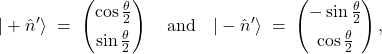 \[ |+\hat n'\rangle \;=\;  \begin{pmatrix}\cos\frac{\theta}{2}\\[4pt]\sin\frac{\theta}{2}\end{pmatrix} \quad\text{and}\quad |-\hat n'\rangle \;=\; \begin{pmatrix}-\sin\frac{\theta}{2}\\[4pt]\cos\frac{\theta}{2}\end{pmatrix}, \]