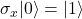 \sigma_x |0\rangle = |1\rangle