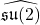 \widehat{\mathfrak{su}(2)}