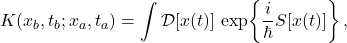 \[ K(x_b,t_b;x_a,t_a)=\int \mathcal{D}[x(t)]\,\exp\!\left\{\frac{i}{\hbar}S[x(t)]\right\}, \]
