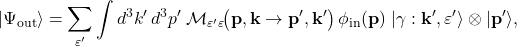 \[ \lvert \Psi_{\mathrm{out}} \rangle = \sum_{\varepsilon'} \int d^3k'\, d^3p'\; \mathcal{M}_{\varepsilon'\varepsilon}\!\big(\mathbf{p},\mathbf{k} \to \mathbf{p}',\mathbf{k}'\big)\, \phi_{\mathrm{in}}(\mathbf{p})\; \lvert \gamma:\mathbf{k}',\varepsilon' \rangle \otimes \lvert \mathbf{p}' \rangle, \]