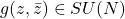 g(z, \bar{z}) \in SU(N)