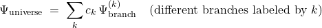 \[ \Psi_{\text{universe}} \;=\; \sum_k c_k\,\Psi^{(k)}_{\text{branch}} \quad\text{(different branches labeled by }k\text{)} \]